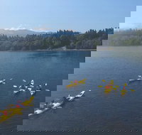 Half-Day Sea Kayaking Trip Near Olympic National Park - Accommodation Seattle