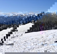 Hurricane Ridge Guided Snowshoe Tour in Olympic National Park - Accommodation Seattle