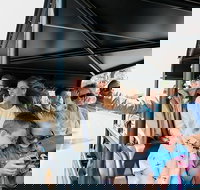 Grand Canyon Landmarks Tour by Airplane with Optional Hummer Tour - Accommodation Seattle