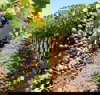 Private Wine Tasting Tour From Santa Ynez, Solvang or Buellton! - Accommodation Seattle