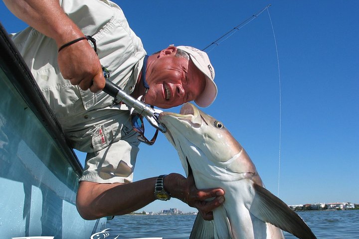 Tampa Bay Fishing Charter Half Day 1-2 People - thumb 4