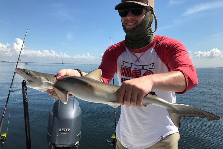Tampa Bay Fishing Charter Half Day 1-2 People - thumb 5