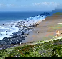 All Island Bus Tour - Accommodation Seattle