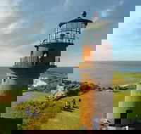 Jaws Tour - Accommodation Seattle