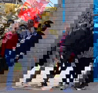 All Island Tour by Bus in Oak Bluffs - Accommodation Seattle