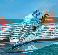 Key West Glass-Bottom Boat Tour with Sunset Option - Accommodation Seattle