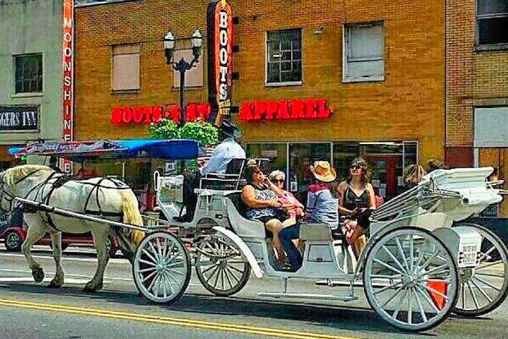 45 Minute Narrated Ride 7 To 9 People - thumb 2