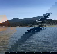 Private Denver and Foothills Mountain Tour - Accommodation Seattle