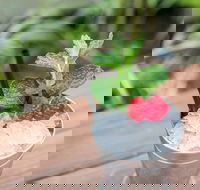 Small-Group Cocktail Tour in Denver - Accommodation Seattle