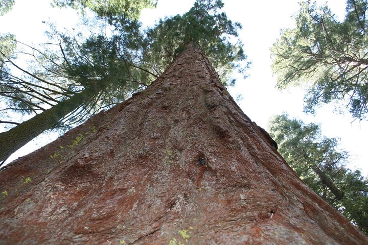 11 Day Best Of The West National Parks Tour Las Vegas To San Francisco - thumb 0