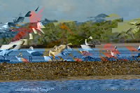  Accommodation Seattle