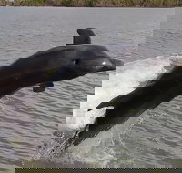 Everglades National Park Boating Expedition with Florida Master Naturalist Guide - Accommodation Seattle