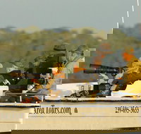 Private Everglades National Park Photo and Wildlife Safari - Accommodation Seattle