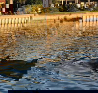 Shared 2 Hours Small Group Sunset Cruise of St. Pete Beach - Accommodation Seattle