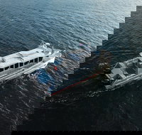 3 Hours Private Whale Tour in Juneau Alaska - Accommodation Seattle