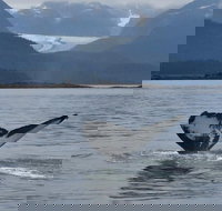 5 Star Juneau by Land & Sea - Accommodation Seattle